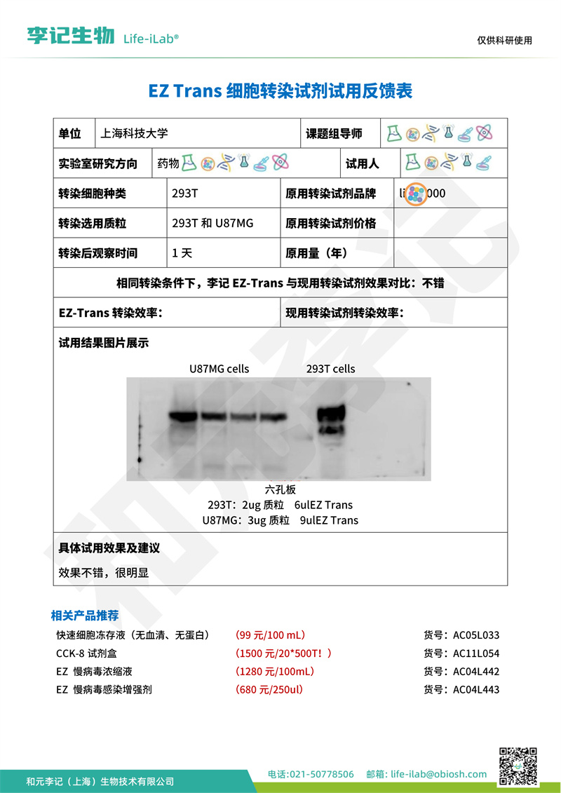 转染1上海科技大学-改.jpg