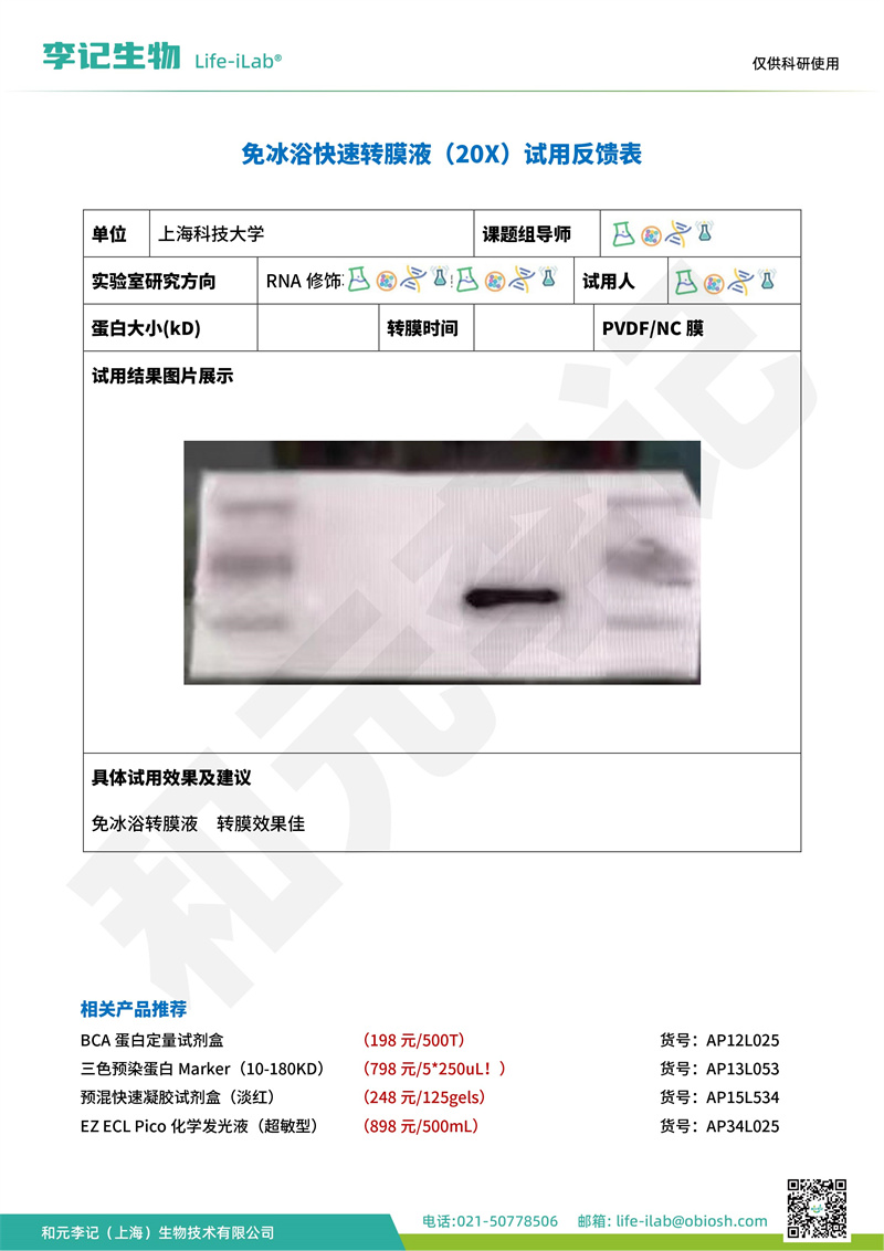 202403-转膜液-上海科技大学(2).jpg